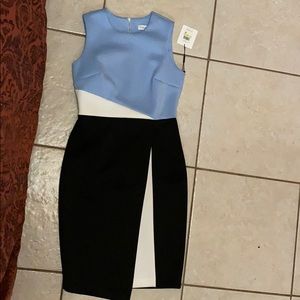 Calvin Klein Work Dress